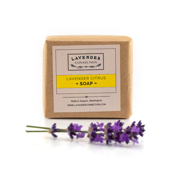 square soap, Lavender Citrus scent, wrapped in kraft paper with label